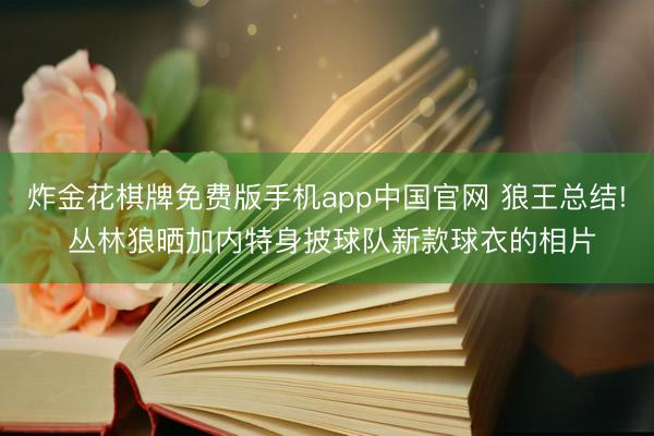 炸金花棋牌免费版手机app中国官网 狼王总结! 丛林狼晒加内特身披球队新款球衣的相片